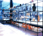 百变展示架,百变架,深圳货架,精品架