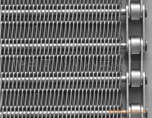 网带-各种规格不锈钢输送链条、链板、齿轮 厂