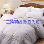 ��Ӧ���˱�/�ļ��� �ߴ���ؿ�����ѡ�� (ͼ)