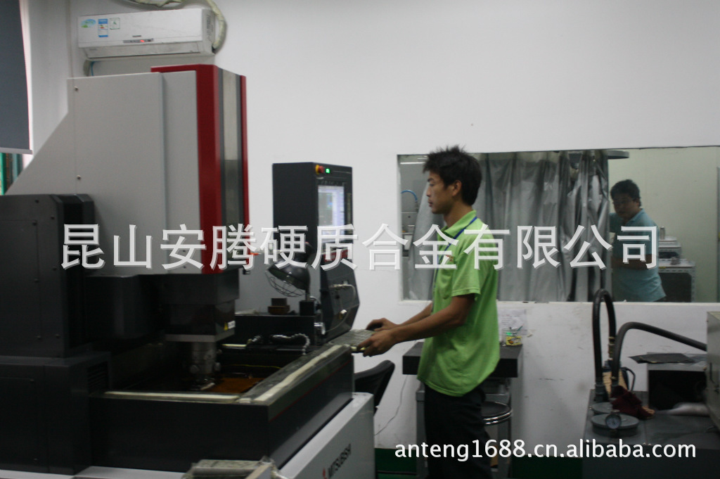 苏州供应优质精密钨钢冲头/刀削/刃口成型冲头/异形冲头/异形冲针