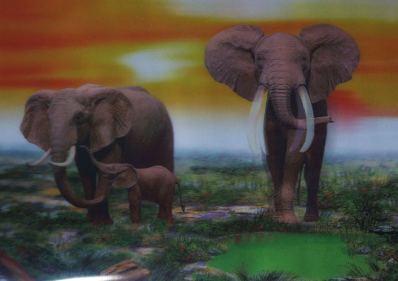 全景奇画商机无限小画一年带来上百万利润 阿