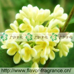 ��Ӧ�𻨽��� Osmanthus Concrete