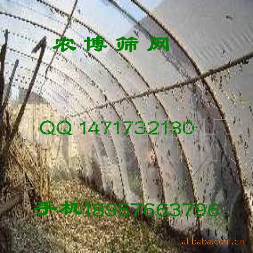 【苍蝇 蚂蚁 蜘蛛 水蛭 蚂蝗 蚂蟥专用养殖网】