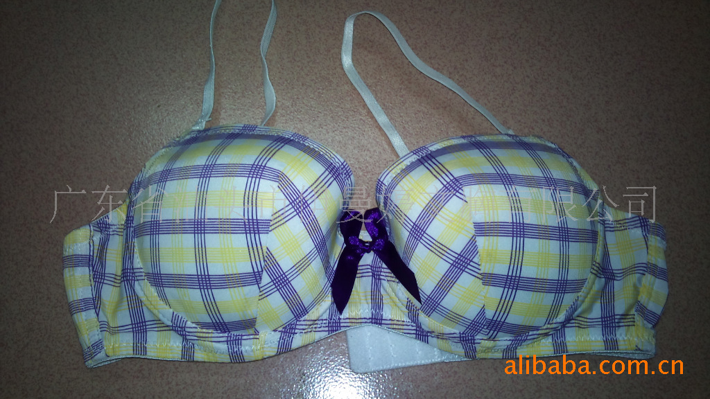 广东汕头供应出口外贸尾货<em>大杯文胸</em>-广东<em>品牌</em>