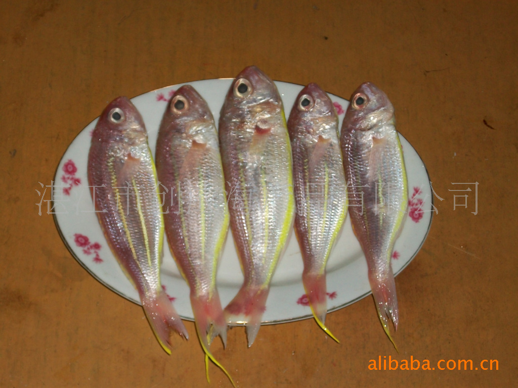 盐渍金丝鱼、留盐冰鲜鱼、鱼干、淡晒、海产 水产 干货 特产