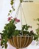 14_Flower_Basket.summ[1]