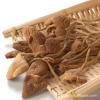 供应【百山祖】无根茶树菇 120g 经济装