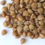 2011年赤峰产优质大粒荞麦仁 / 烤制