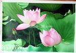 手绘写实荷花花卉油画 酒吧配画 会所配画 别墅 家居客厅餐厅油画