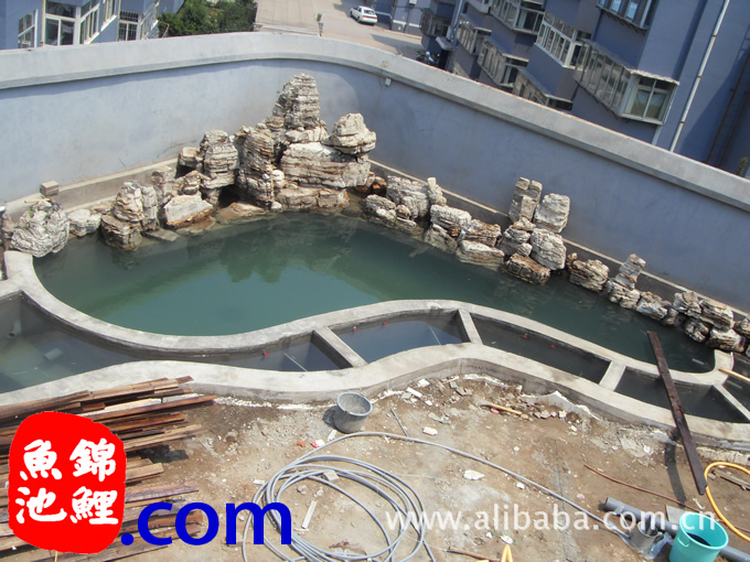 山西太原阳泉风水锦鲤鱼池设计建造养鱼池过滤系统观赏鱼池设计