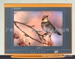 供应全新管14寸DVD 二合一 CRT TV电视带喇叭音响