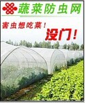 供应农科院推广型蔬菜防虫网