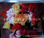 电热画 电暖画 远红外电热画 (实物拍摄)来图加工