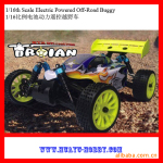 1/16������ض���ң��ԽҰ��