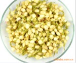 10年特级 茉莉花蕾 养颜润肤排毒 茉莉花茶 花草茶