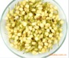 10年特级 茉莉花蕾 养颜润肤排毒 茉莉花茶 花草茶