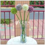 单枝塑胶葱花 现代艺术插花 家居装饰花 塑胶假花