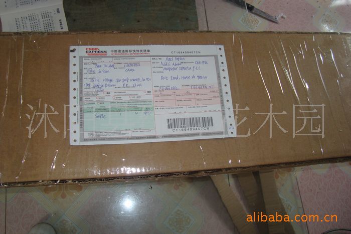 邮政EMS全球航空快递发往迪拜的苗木 图片