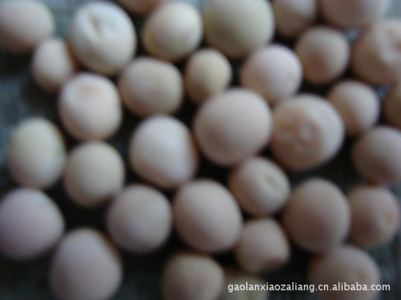 大量供应甘肃绿豌豆图片,大量供应甘肃绿豌豆