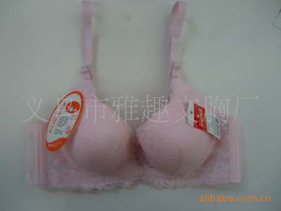 【2011新款 <em>黛安芬</em>熏衣草透气<em>文胸</em>批发 2593#