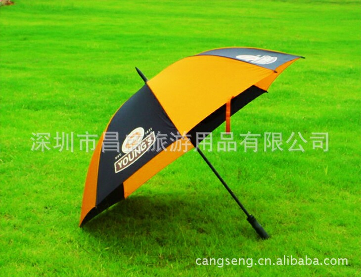 批发采购伞、雨衣-供应透明雨伞PE材料包边款