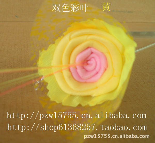 彩葉黃花靚