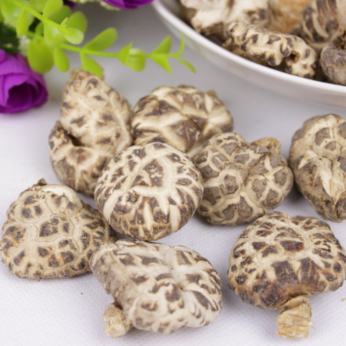 时尚美食新风尚 青川纯天然木质椴木青冈树花