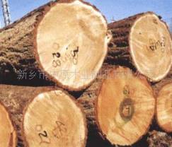 河南新乡供应东北松木俄罗斯松木红松白松落叶