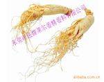 ��Ӧ�˲��㾫���в�ҩ�㾫