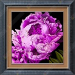 GR113-3 �������� װ�λ� õ�廨�ͻ� �����һ� �ڻ� �޿�
