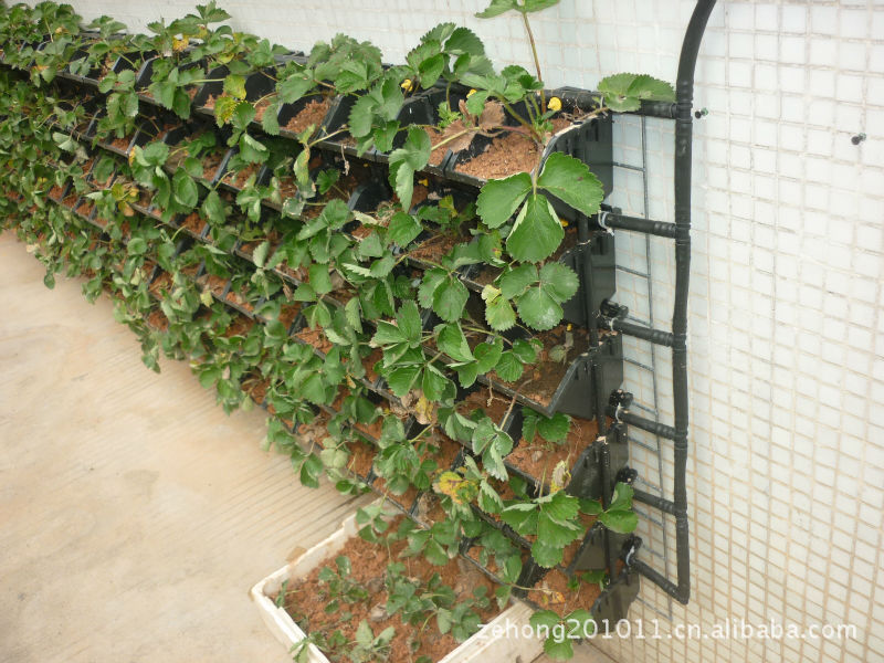 可立体安装,3D防台风花盆,DIY农场,种植盆,真实