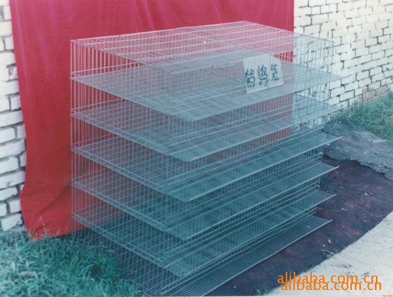 供应鹌鹑养殖笼 、梯形鹌鹑笼子 图片