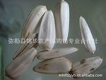 【优良品质】供应云南白葵花籽