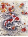 顶呱呱出口全球立体画 3000多款 PET厚0.9 30*40 型号DW8183