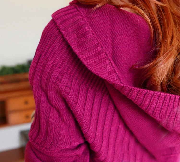 【女装秋装新款 外贸正品 连帽卫衣帽衫外套 紫