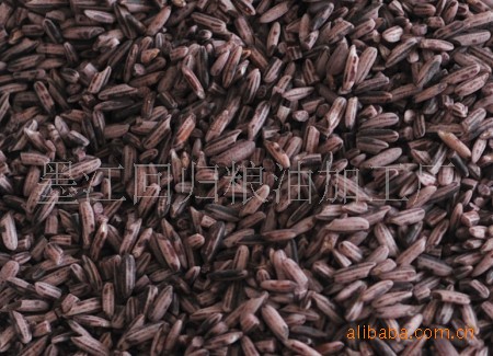 大量批发供应—紫糯米