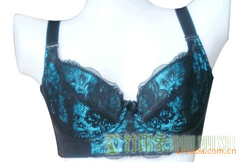 【竹纤维<em>文胸</em> 竹纤维健康<em>文胸</em> 免费加盟 免费代