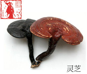 百年堂阿胶膏方--<em>肾亏肝旺</em> 气虚血瘀案_bainia