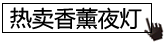 ��޹Сҹ��