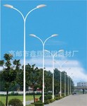 专业供应低碳环保型路灯
