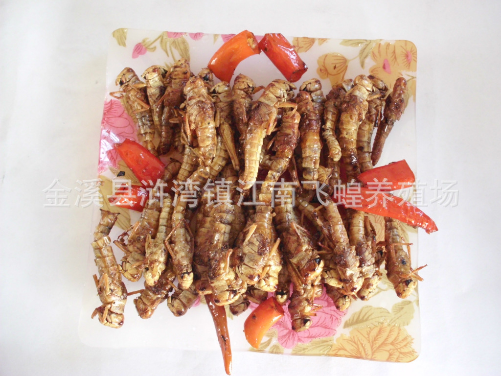 【蝗虫菜】价格,厂家,图片,其他特种养殖,金溪县