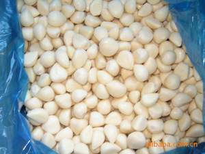 【冷冻大蒜头】冷冻大蒜头价格\/图片_冷冻大蒜