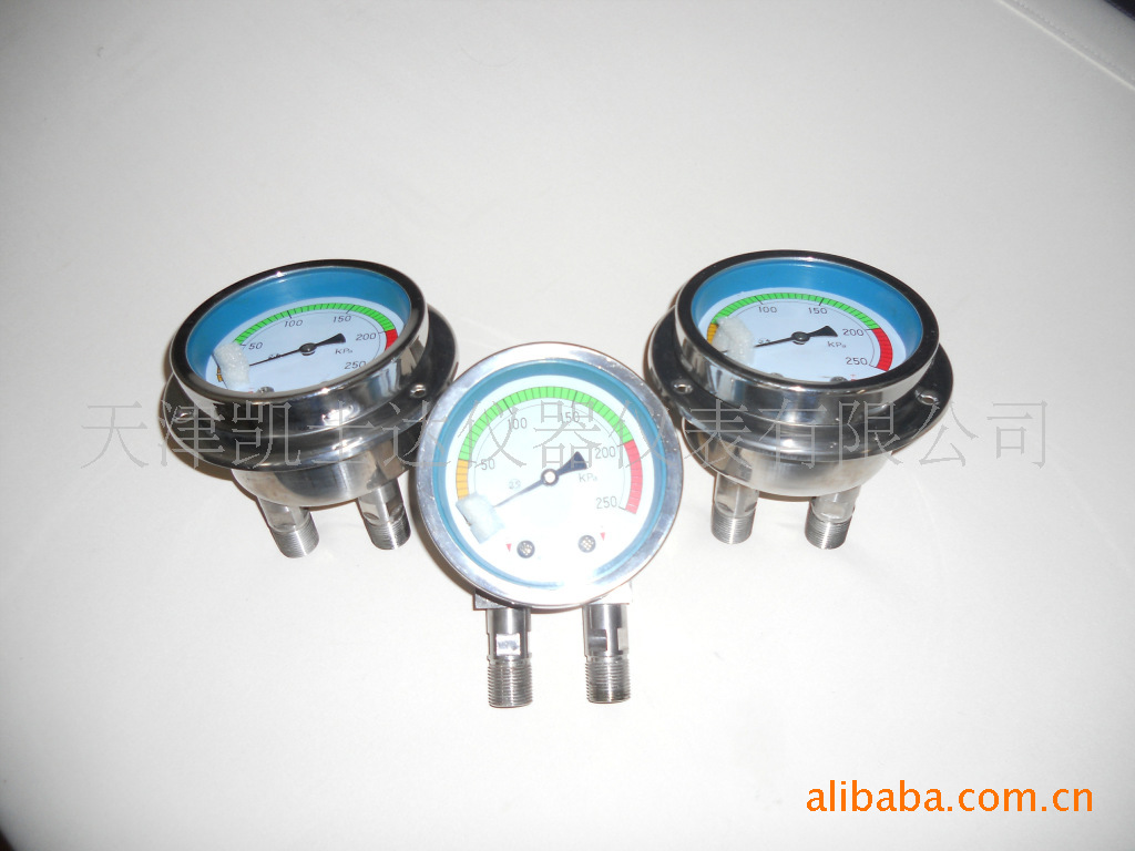 【SCP系列全不锈钢差压表,SCPG系列全不锈