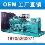 ��Ӧ1000KW����˹���ͷ������