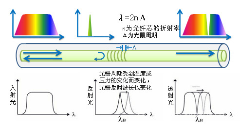 光纤传感器 光纤光栅 厂家直销