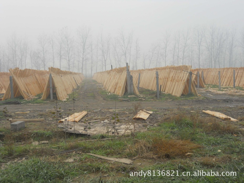 长期建筑覆膜板、木胶板及各种规格建筑木方价