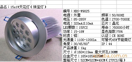 15W 天花灯