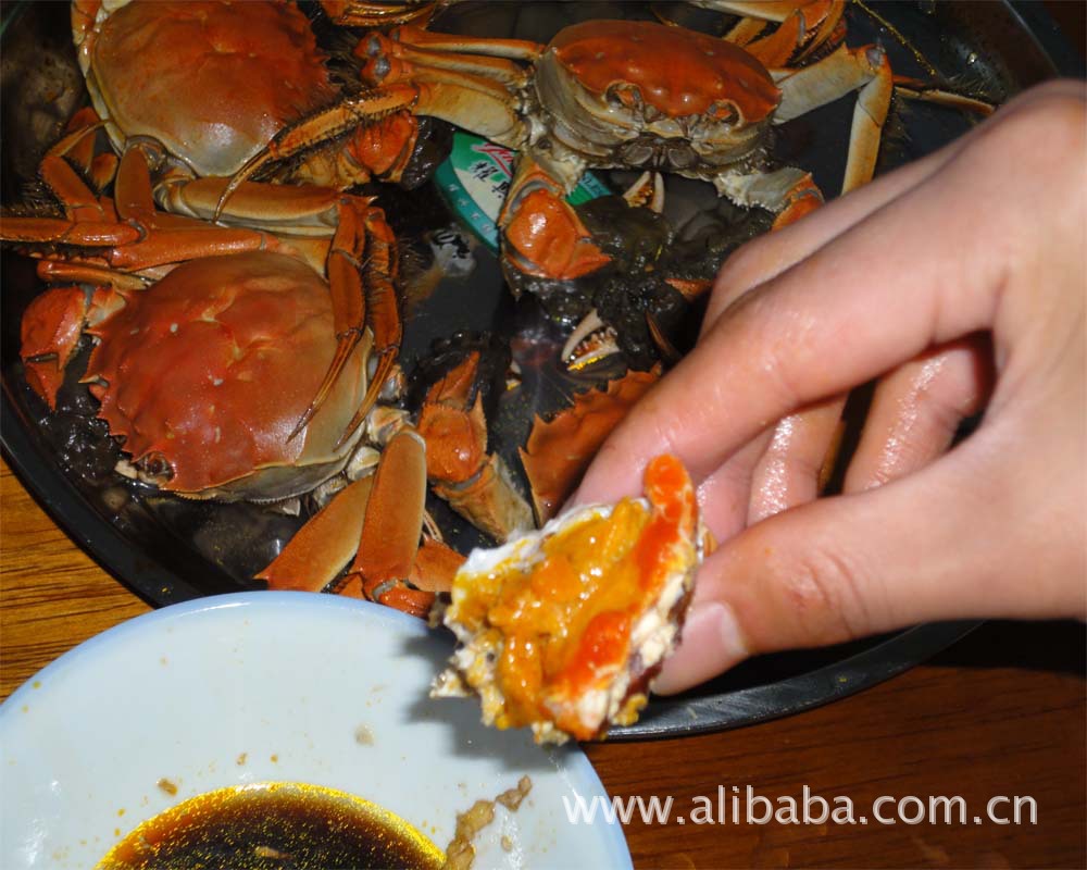 阳澄湖大闸蟹美食--流口水的进!