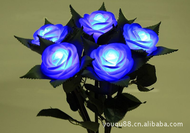 【永不凋谢的玫瑰\/\/最浪漫的礼物仿真玫瑰花灯