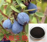 ��ӦԽ����ȡ��רҵ�������ҳ��깩Ӧ(ͼ)